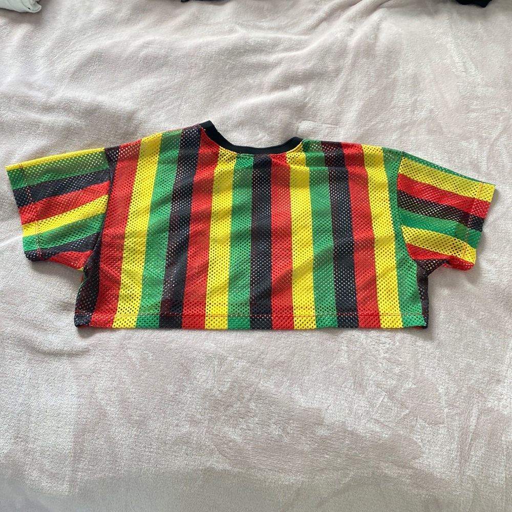 Mesh Multicolor Crop Top